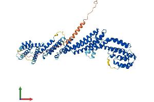 Protein Structure (PS) image for Tumor Necrosis Factor, alpha-Induced Protein 2 (TNFAIP2) (AA 1-654) protein (His tag) (ABIN7544579)