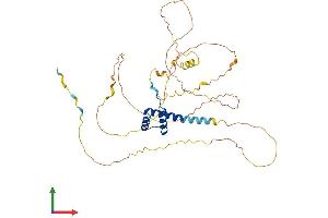 Protein Structure (PS) image for Motor Neuron and Pancreas Homeobox 1 (MNX1) (AA 1-401) protein (His tag) (ABIN7549408)