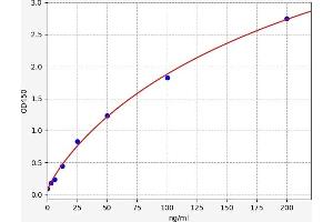 Typical standard curve