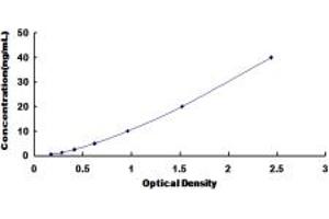 ADRA2C ELISA Kit