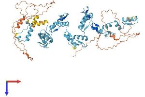 Protein Structure (PS) image for Zinc Finger Protein 440 (ZNF440) (AA 1-595) protein (His tag) (ABIN7545274)