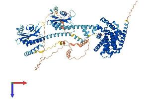 PDE11A Protein (AA 1-933) (His tag)