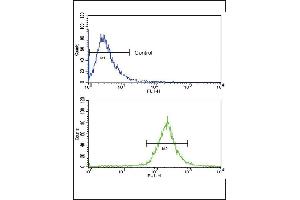 Flow Cytometry (FACS) image for anti-Bone Morphogenetic Protein Receptor 1A (BMPR1A) (AA 1-30), (N-Term) antibody (ABIN388737)