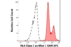 Separation of human leukocytes stained using anti-HLA Class I (MEM-81) purified antibody (concentration in sample 1 μg/mL, GAM APC, red-filled) from human leukocytes unstained by primary antibody (GAM APC, black-dashed) in flow cytometry analysis (surface staining).