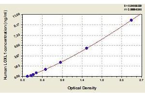 Typical standard curve (LOXL1 ELISA Kit)