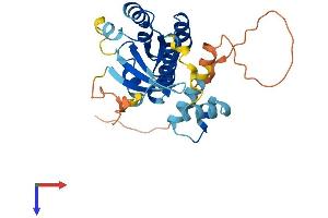RAB40C Protein (AA 1-281) (His tag)