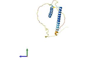 Protein Structure (PS) image for Chromosome 17 Open Reading Frame 49 (C17orf49) (AA 1-172) protein (His tag) (ABIN7552604)