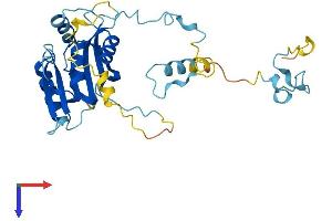 CIAPIN1 Protein (AA 1-309) (His tag)