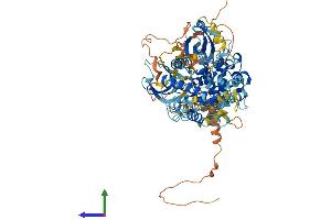 Protein Structure (PS) image for Ribosomal Protein S6 Kinase A4 (RPS6KA4) (AA 1-772) protein (His tag) (ABIN7554354)