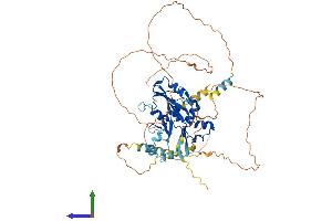 Protein Structure (PS) image for Suppressor of Cytokine Signaling 5 (SOCS5) (AA 1-536) protein (His tag) (ABIN7562447)