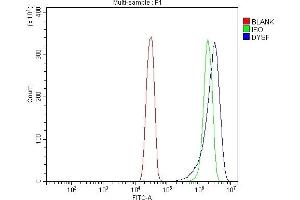 Flow Cytometry analysis of SiHa cells using anti-Dysferlin/DYSF antibody (ABIN7601939). (Dysferlin Antikörper  (AA 51-747))