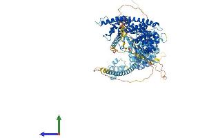 Protein Structure (PS) image for Dishevelled Associated Activator of Morphogenesis 1 (DAAM1) (AA 1-1077) protein (His tag) (ABIN7564409)