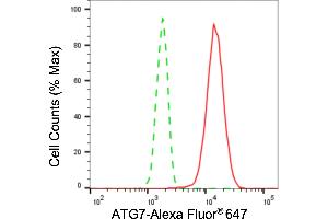 Flow cytometric analysis of ATG7 expression in HT- cells using ATG7 antibody (ABIN7797676), 1:2,000).
