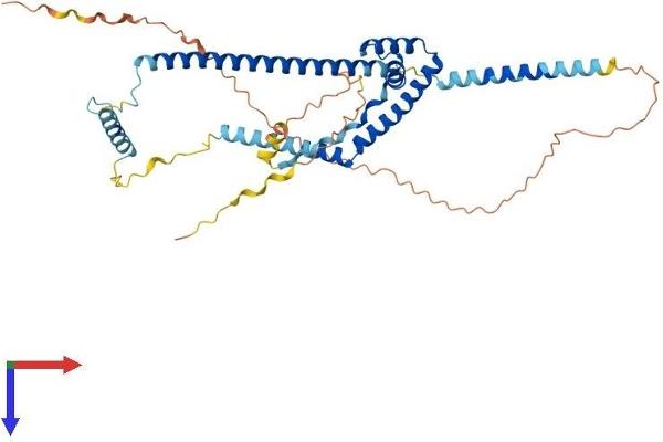 SMARCE1 Protein (AA 1-411) (His tag)