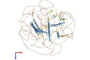 AKNA Protein (AA 1-1404) (His tag)