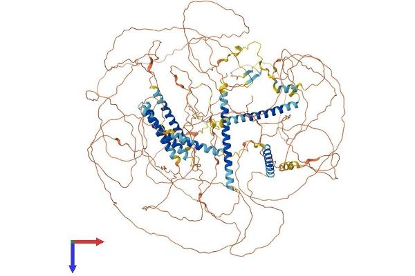 AKNA Protein (AA 1-1404) (His tag)