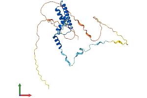 Protein Structure (PS) image for RNA Polymerase II TBP-Associated Factor Subunit G (TAF9) (AA 1-264) protein (His tag) (ABIN7559945)