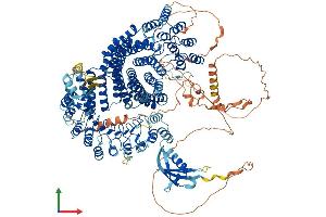 Protein Structure (PS) image for Tonsoku-Like, DNA Repair Protein (NFKBIL2) (AA 1-1378) protein (His tag) (ABIN7555835)