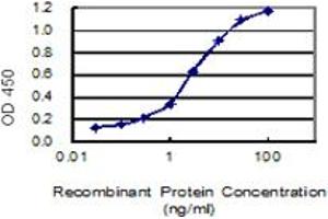 Detection limit for recombinant GST tagged FAM44A is 0. (BOD1L1 Antikörper  (AA 1-284))