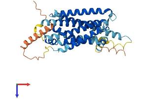 MC4R Protein (AA 1-332) (His tag)