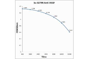 Antigen: 0. (VEGF Antikörper  (AA 27-120))
