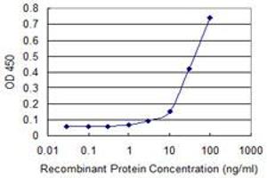 Detection limit for recombinant GST tagged PCAF is approximately 10ng/ml as a capture antibody. (KAT2B Antikörper  (AA 353-452))