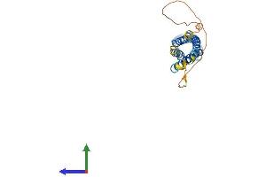 Protein Structure (PS) image for Synaptoporin (SYNPR) (AA 1-265) protein (His tag) (ABIN7558569)