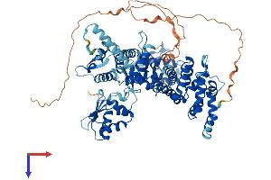 HECTD2 Protein (AA 1-776) (His tag)