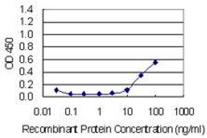 Detection limit for recombinant GST tagged CDH11 is 3 ng/ml as a capture antibody. (OB Cadherin Antikörper  (AA 54-612))