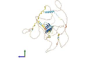 Protein Structure (PS) image for GRB2-Associated Binding Protein 3 (GAB3) (AA 1-595) protein (His tag) (ABIN7558856)