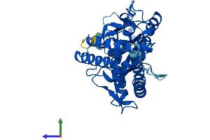 Protein Structure (PS) image for Mab-21-Like 1 (MAB21L1) (AA 1-359) protein (His tag) (ABIN7562529)