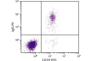 Human peripheral blood lymphocytes were stained with Goat Anti-Human IgD-PE and Mouse Anti-Human CD19-FITC. (Ziege anti-Human IgD Antikörper (PE))