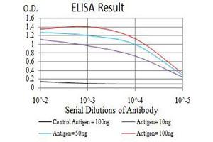 Black line: Control Antigen (100 ng),Purple line: Antigen (10 ng), Blue line: Antigen (50 ng), Red line:Antigen (100 ng) (AFAP1L2 Antikörper  (AA 674-818))