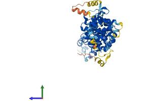 AlphaFold protein structure predicition of Mouse Recombinant Ric8b Protein, UniprotID Q80XE1