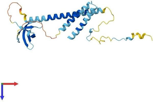SMNDC1 Protein (AA 1-238) (His tag)