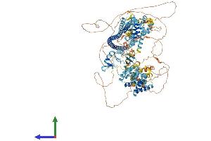 Protein Structure (PS) image for DAZ Interacting Protein 3, Zinc Finger (DZIP3) (AA 1-1204) protein (His tag) (ABIN7564202)