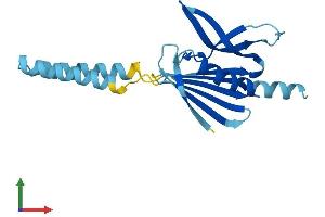 Protein Structure (PS) image for Phosphatidylinositol Glycan H (PIGH) (AA 1-188) protein (His tag) (ABIN7557474)