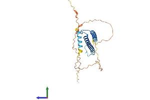 Protein Structure (PS) image for Myogenin (Myogenic Factor 4) (MYOG) (AA 1-224) protein (His tag) (ABIN7562855)