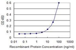 Detection limit for recombinant GST tagged CLIC1 is 3 ng/ml as a capture antibody. (CLIC1 Antikörper  (AA 1-241))