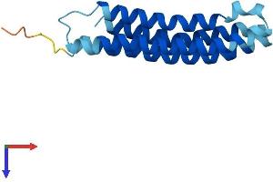 ATP6V0C Protein (AA 1-155) (His tag)