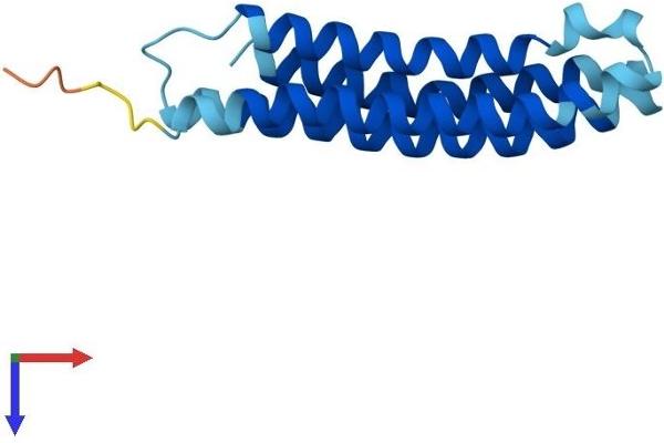 ATP6V0C Protein (AA 1-155) (His tag)