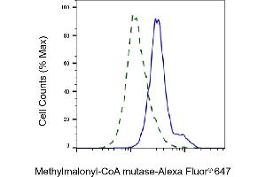 Validation of Methylmalonyl-CoA mutase knockdown using flow cytometry. (Rekombinanter MUT Antikörper)