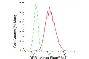 Flow cytometric analysis of DDB1 expression in HepG2 cells using DDB1 antibody (ABIN7798273), 1:2,000). (Rekombinanter DDB1 Antikörper)