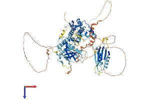 BRSK2 Protein (AA 1-735) (His tag)
