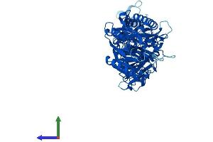 Protein Structure (PS) image for Peptidyl Arginine Deiminase, Type I (PADI1) (AA 1-663) protein (His tag) (ABIN7550546)