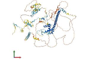 Protein Structure (PS) image for Enhancer of Polycomb Homolog 1 (EPC1) (AA 1-813) protein (His tag) (ABIN7564526)