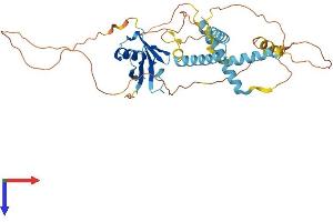HERPUD2 Protein (AA 1-406) (His tag)