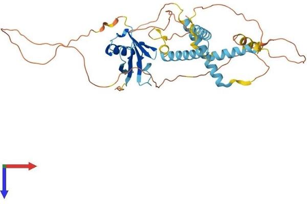 HERPUD2 Protein (AA 1-406) (His tag)