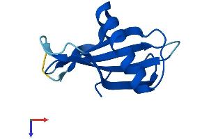 CSTA Protein (AA 1-98) (His tag)