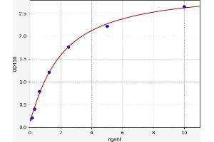 ADAMTS5 ELISA Kit